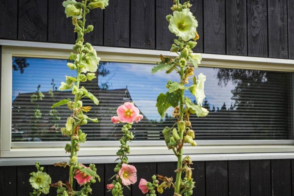 Ermerhoek, In De Hof Eksteriør billede
